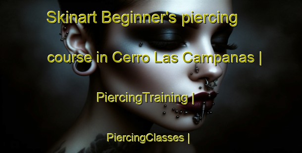 Skinart Beginner's piercing course in Cerro Las Campanas | PiercingTraining | PiercingClasses | SkinartTraining-Mexico